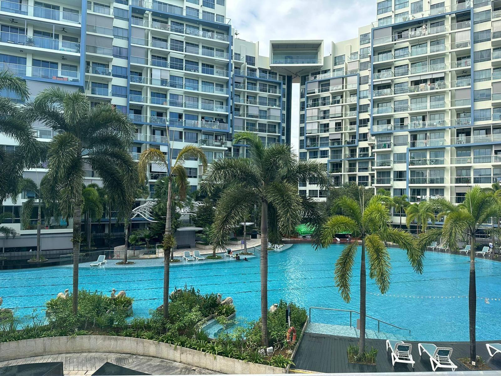 Skies Miltonia gallery render