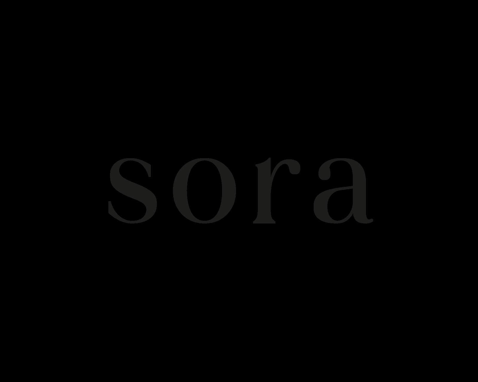 SORA gallery render